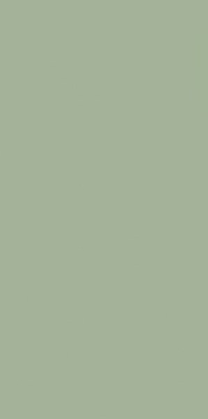 paradyz/feelings/paradyz-feeling-green-298x598