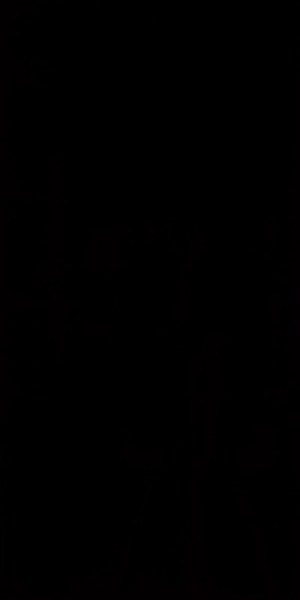 paradyz/synergy/paradyz-synergy-nero-30x60