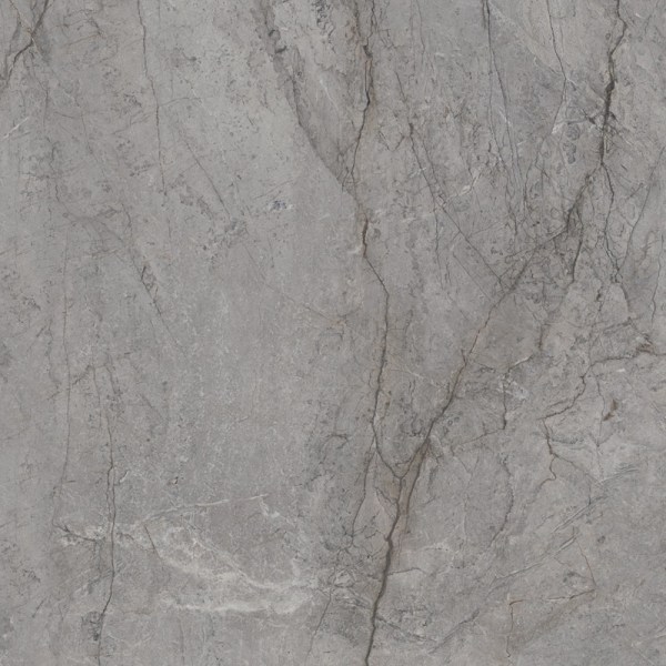 product2/paradyz/visioner/paradyzvisionergreypol120x120