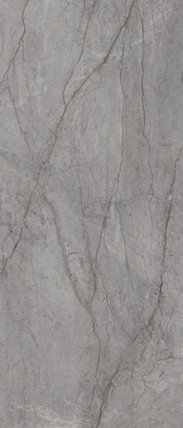 product2/paradyz/visioner/paradyzvisionergreypol120x240