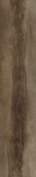 rondine/greenwood/rondine-greenwood-bruno-24x120