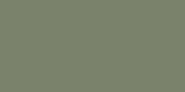tubadzin-monolith/ciello-e-terra/tubadzincieloeterra-verdemat598x1198