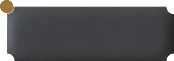 tubadzin-prestige-line/sophisticated/tubadzinsophisticatedbrickblackwalldecor78x237