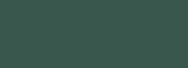 tubadzin/fashion/tubadzinfashiongreen328x898
